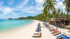 phuket-or-samui-vacation-wintering-comparison-guide
